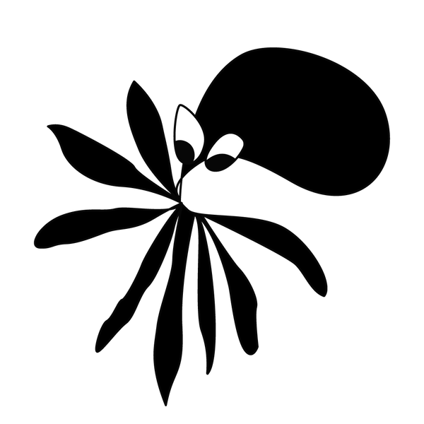 The Lost Tako Design